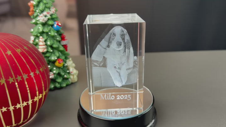 Video af rektangulær glasblok i krystalglas med 3D-lasergraveret foto