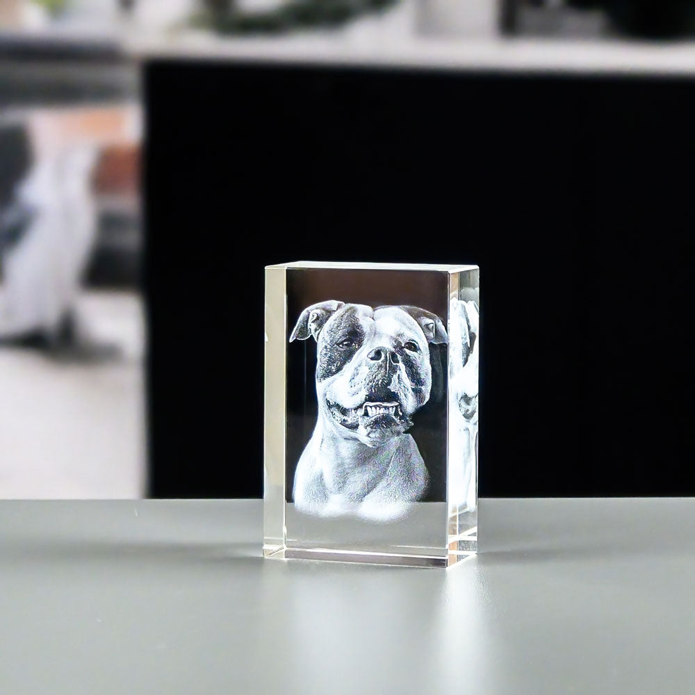 Rectangular glass block 3x6x9 cm with 3D laser-engraved dog